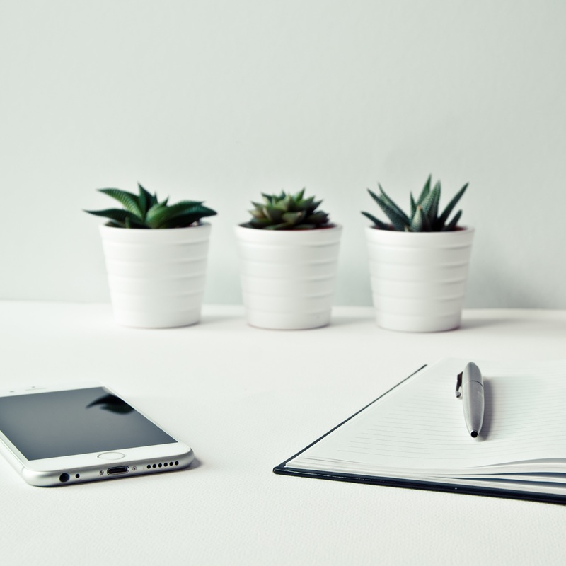 ヘアーシートの特徴